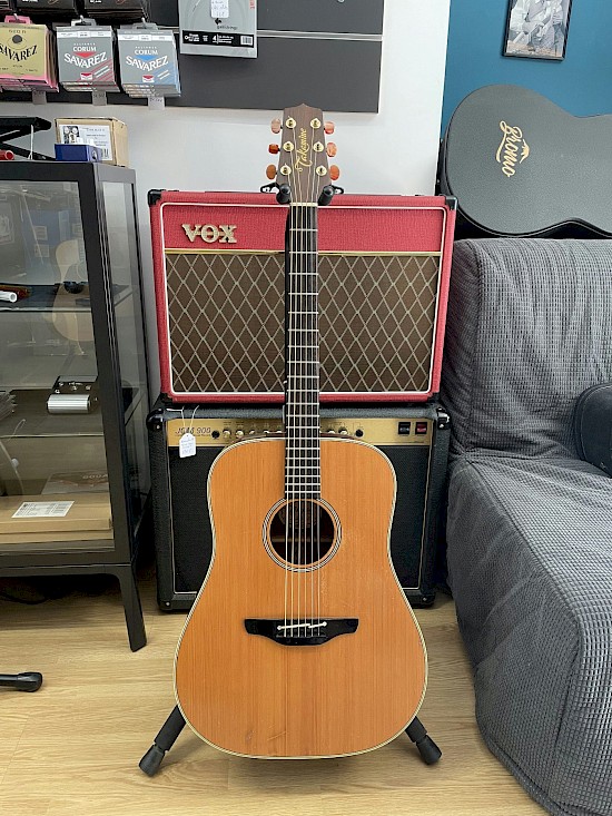 Takamine EN10
