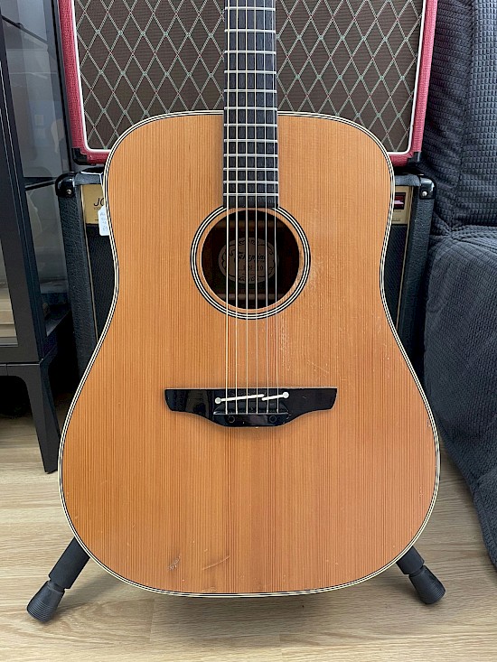 Takamine EN10