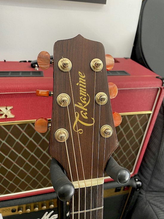 Takamine EN10
