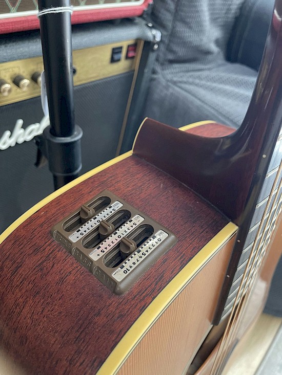 Takamine EN10