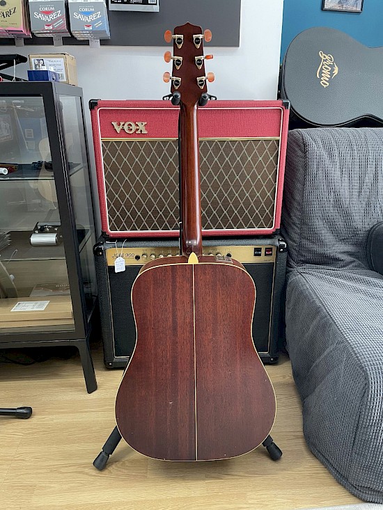Takamine EN10