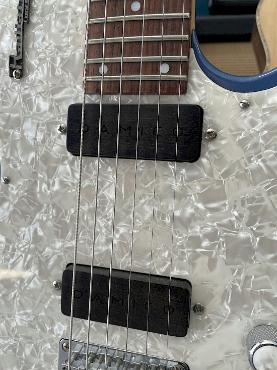 Godin Radiator