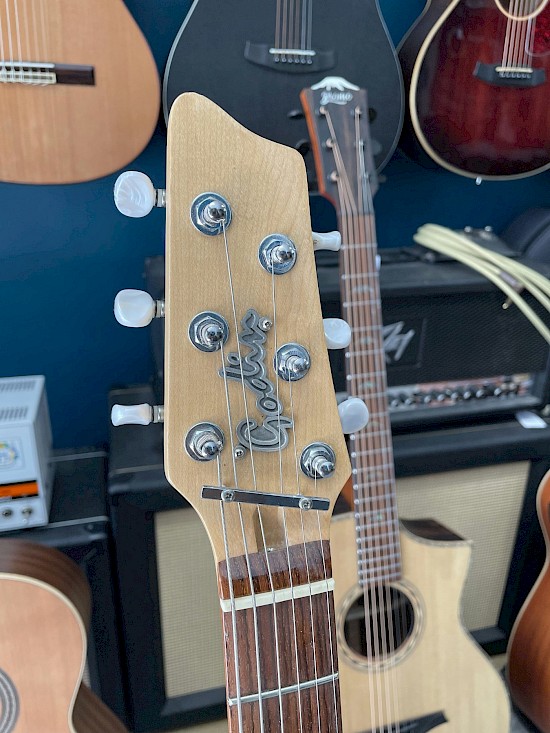 Godin Radiator