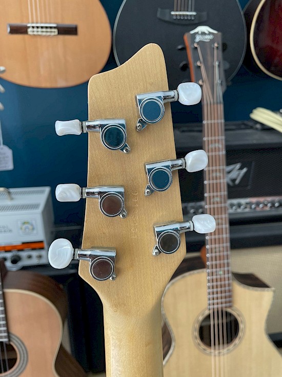 Godin Radiator